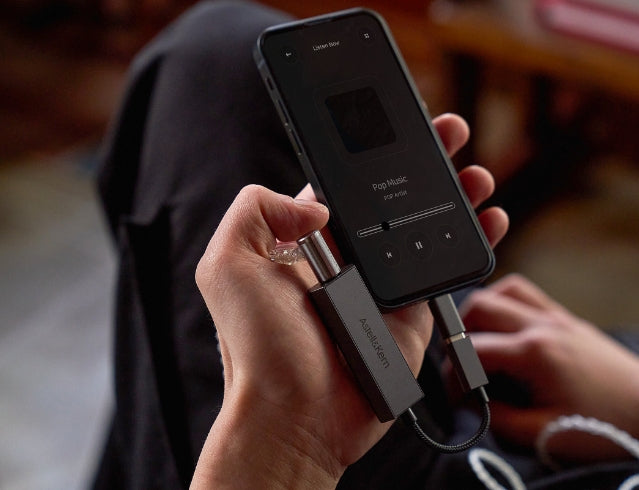 AK HC2 Dual DAC Cable - Astell&Kern