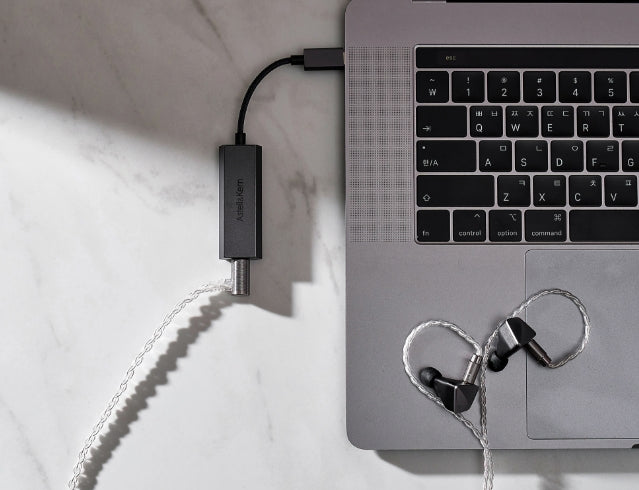 AK HC2 Dual DAC Cable - Astell&Kern